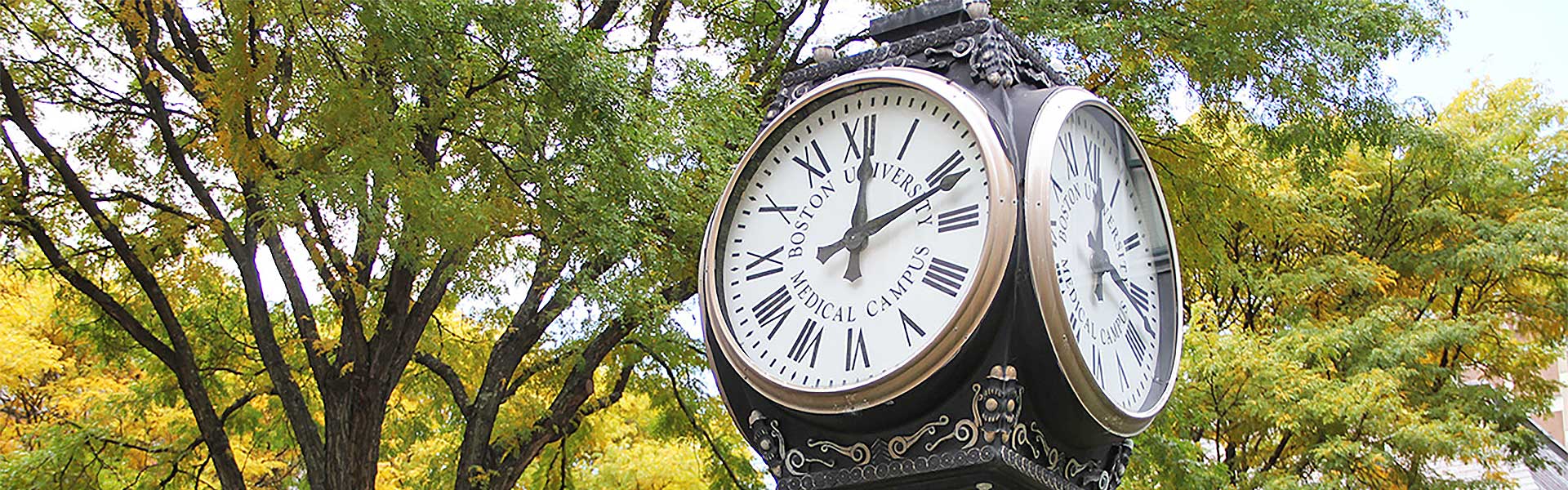 Trust us with your international project.